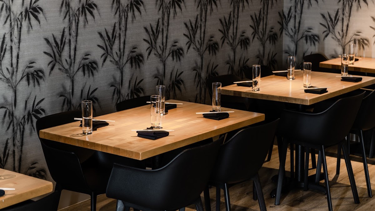 Blind Tiger Experience Aventura